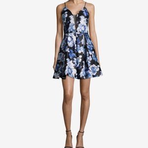 Mesh V-Neck Floral Mini Fit & Flare Dress